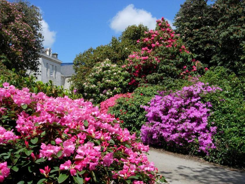 Glasney Rooms, University Campus Penryn Falmouth Eksteriør billede